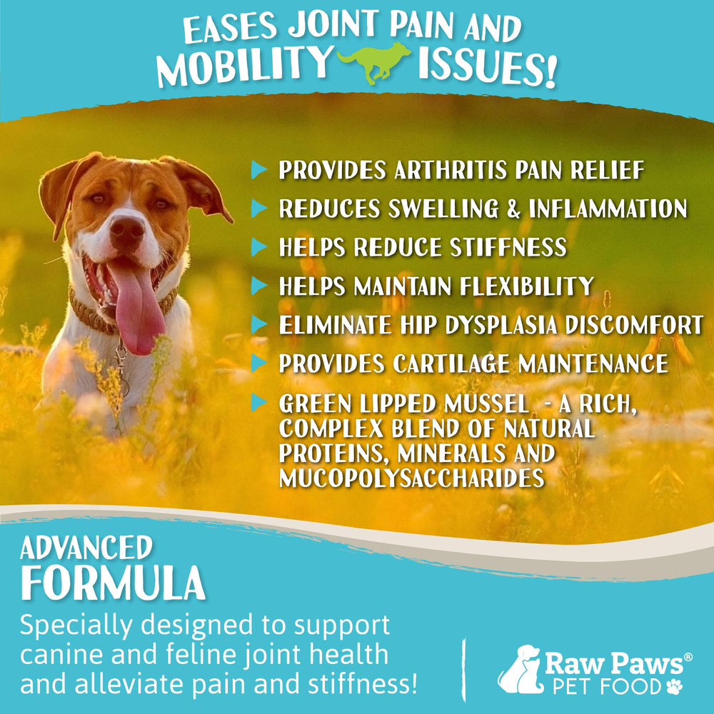 Usage quotidien Raw Paws pour chiens et chats actifs.
