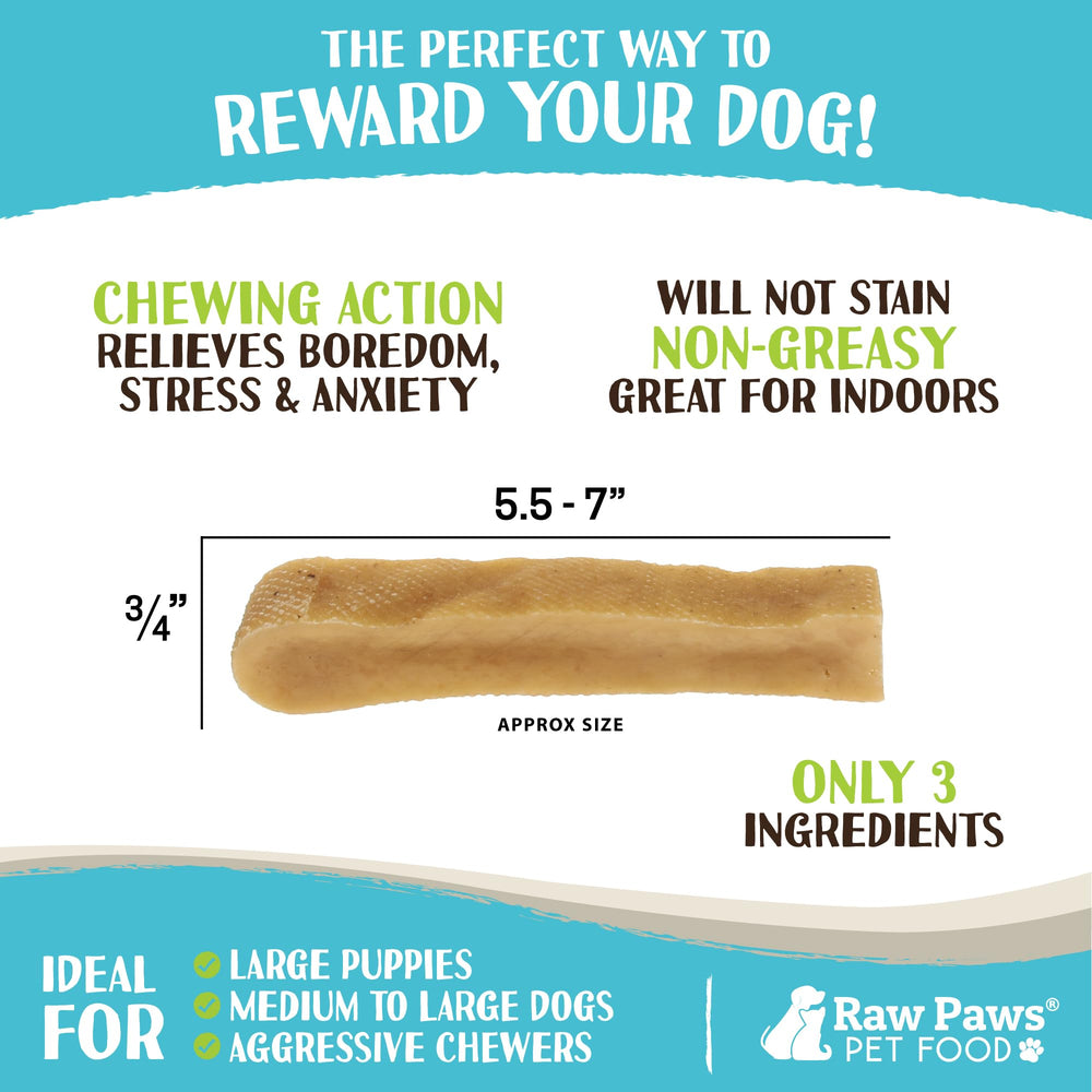 Chien en train de mordre Raw Paws Yak Chews, moment sûr et satisfaisant.