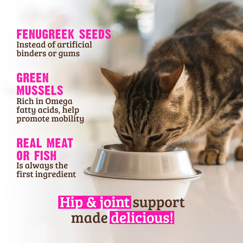 Emballage Rawz sans BPA, conservation sûre pour le chat.
