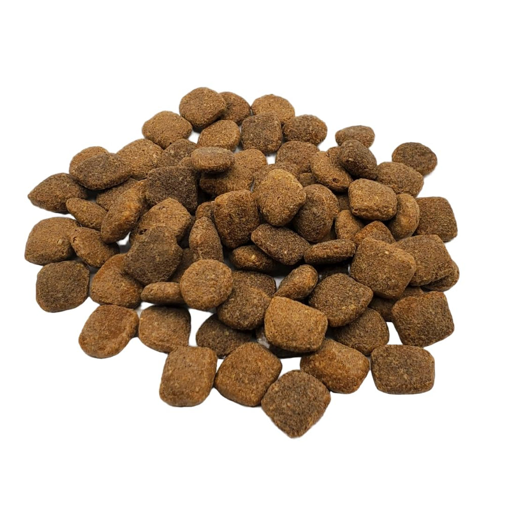 Rawz Meal Free – croquettes présentées dans un bol pour chien.