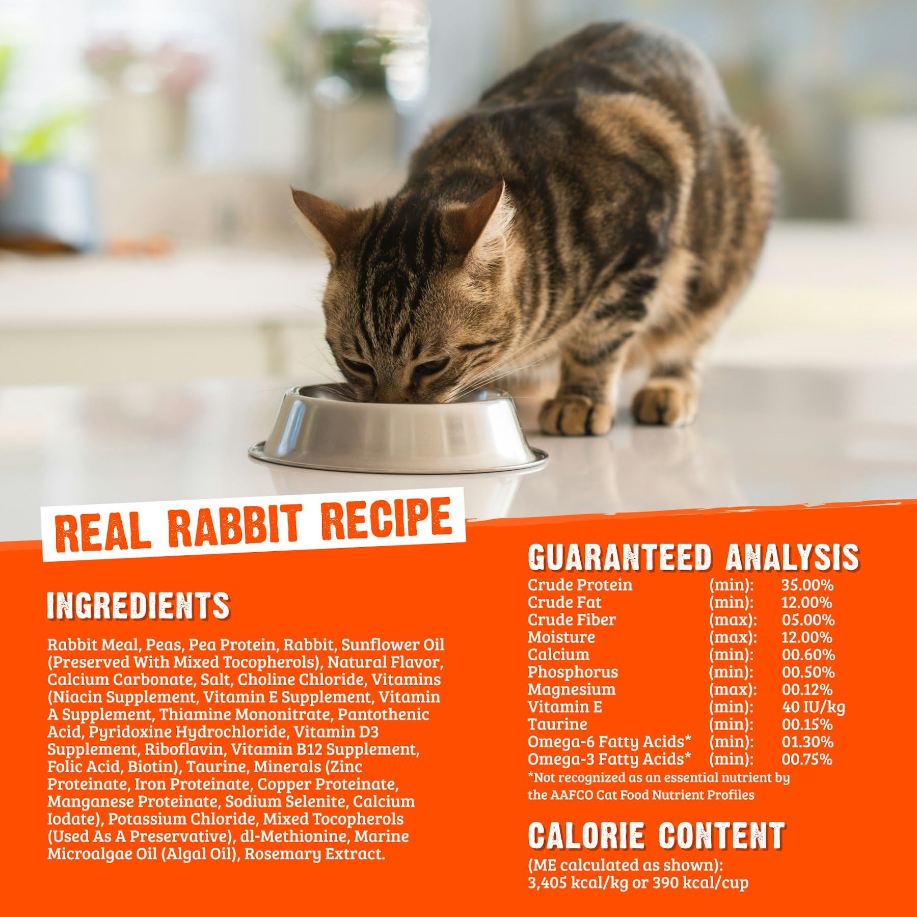 Rawz Real Rabbit chat savourant le repas: moment paisible et savoureux.