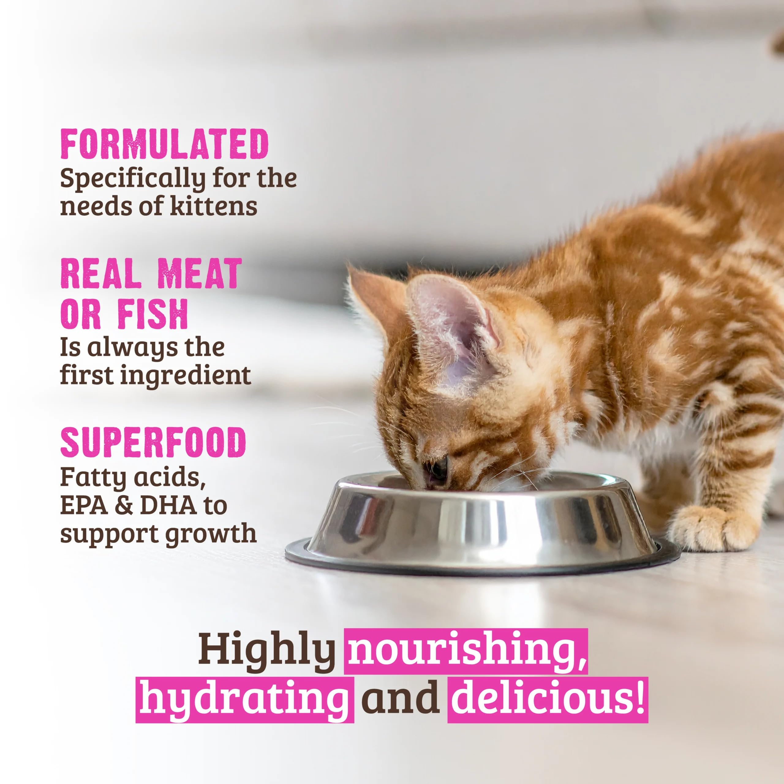 Rawz pâté saumon - service de repas pratique pour chats gourmands