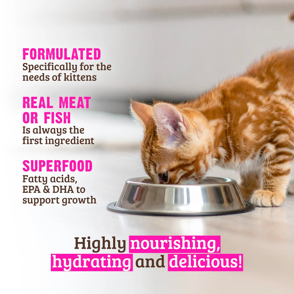 Rawz pâté saumon - service de repas pratique pour chats gourmands
