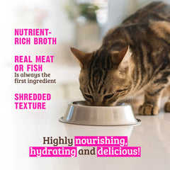 Rawz saveur poulet seul, source simple de protéines pour chats.