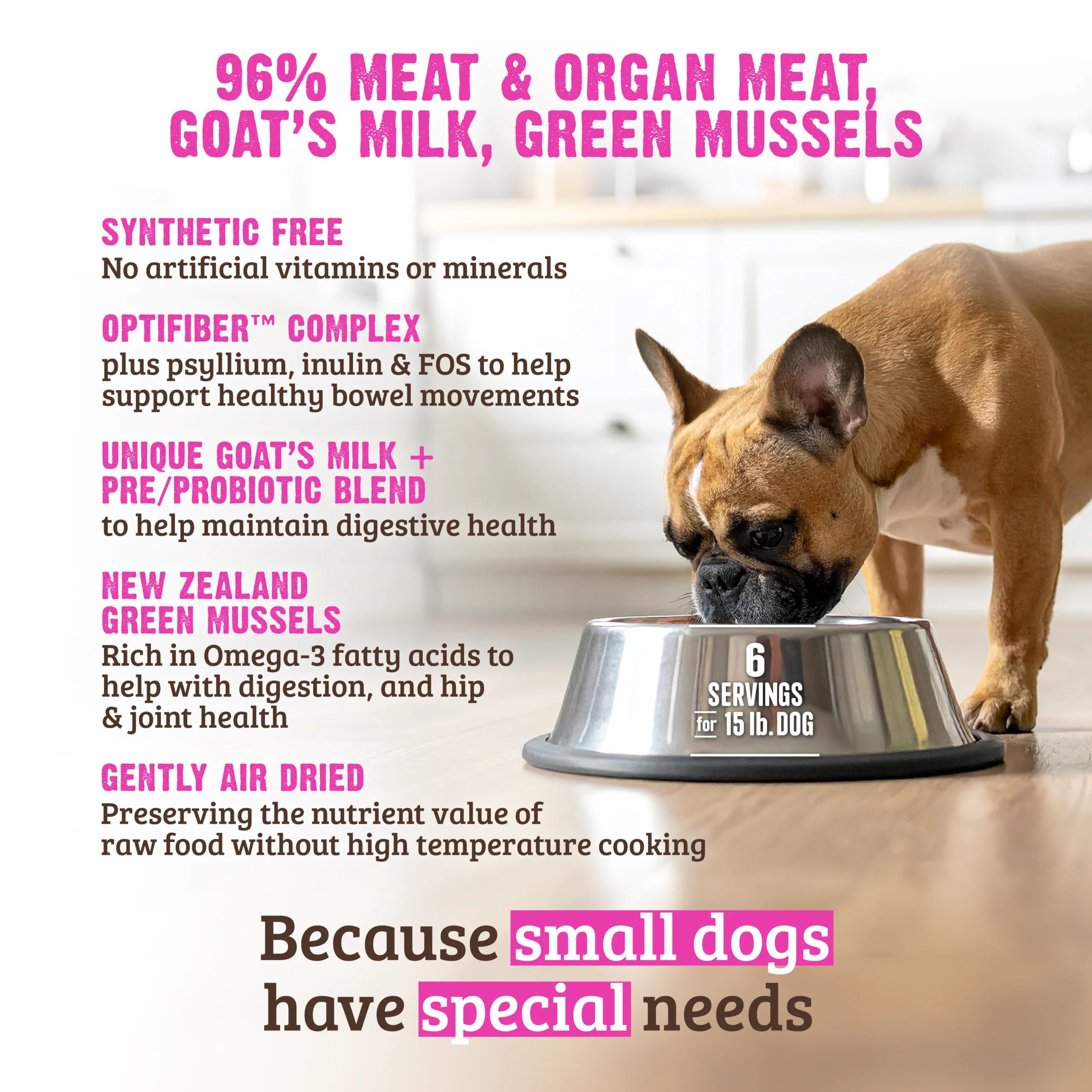 Rawz service en assiette, petit chien dégustant l'agneau, pratique et savoureux.