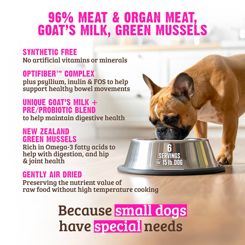 Rawz service en assiette, petit chien dégustant l'agneau, pratique et savoureux.