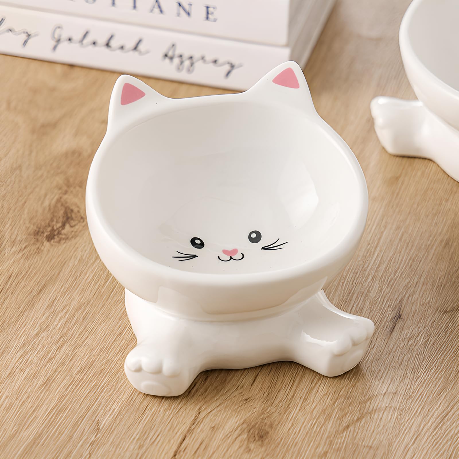 Raytrue-X bol chat adapté chatons et petits animaux