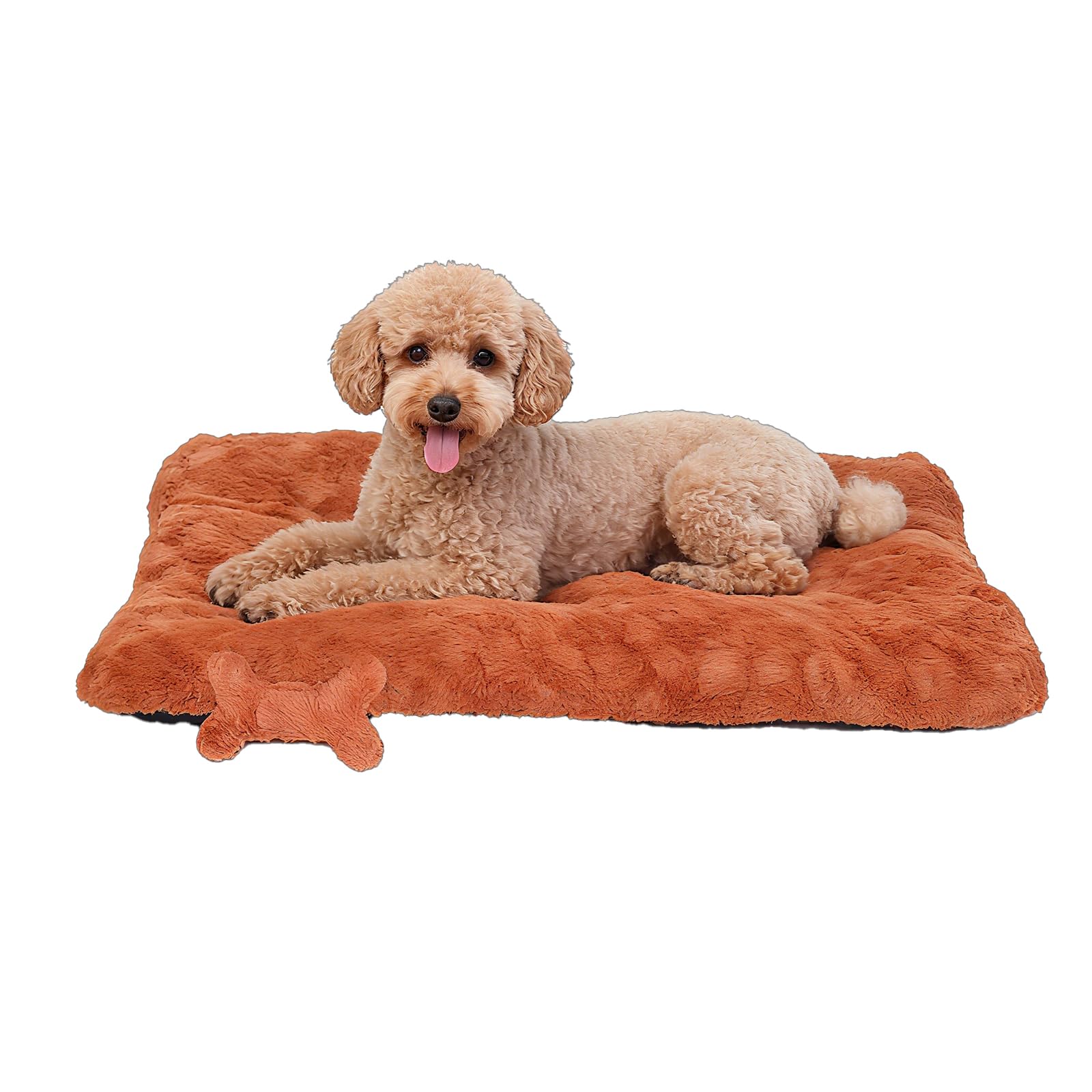 Razyzil lit-chien doux-peluche: confort immédiat pour le repos du chien.