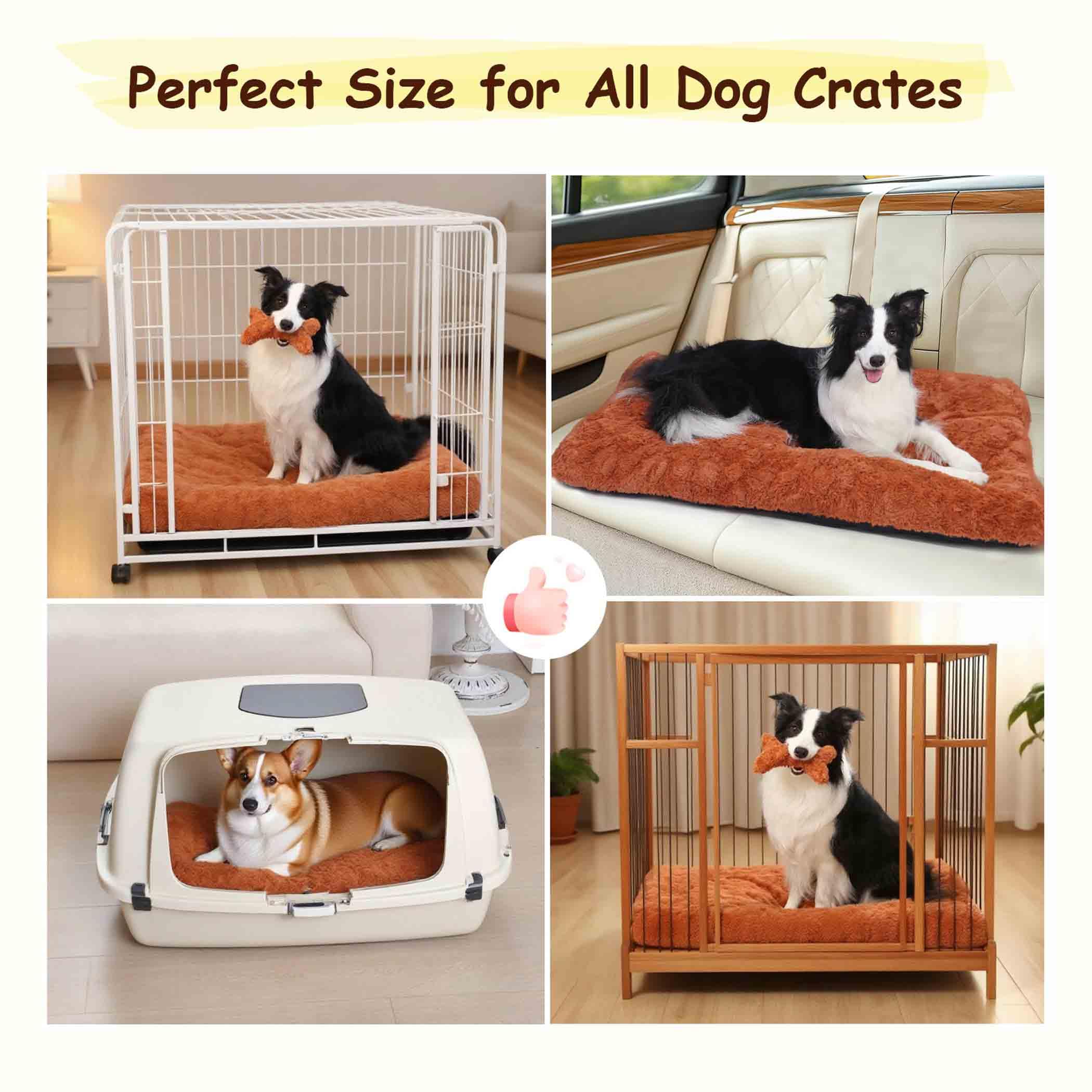 Razyzil lit-chien usage multi-scène convient à la maison et au voyage.
