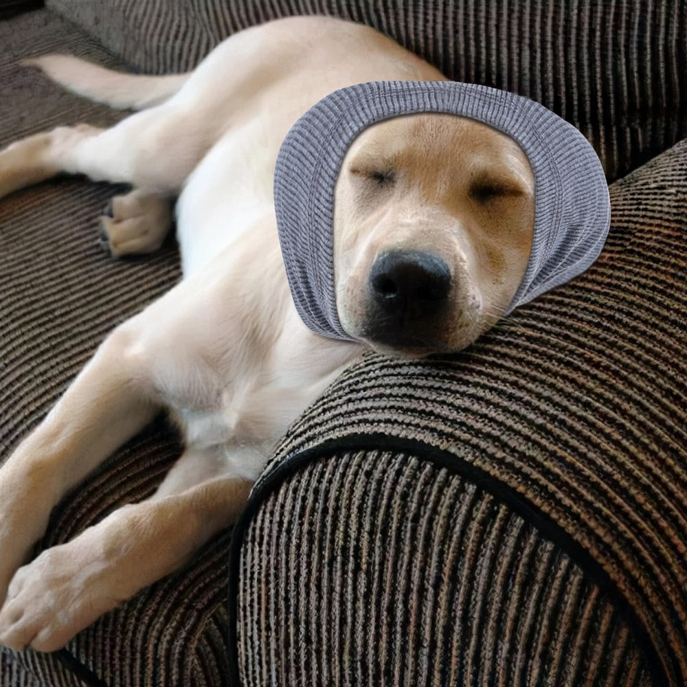 Accessoire hiver Rbenxia pour chien, facile à enfiler et durable.