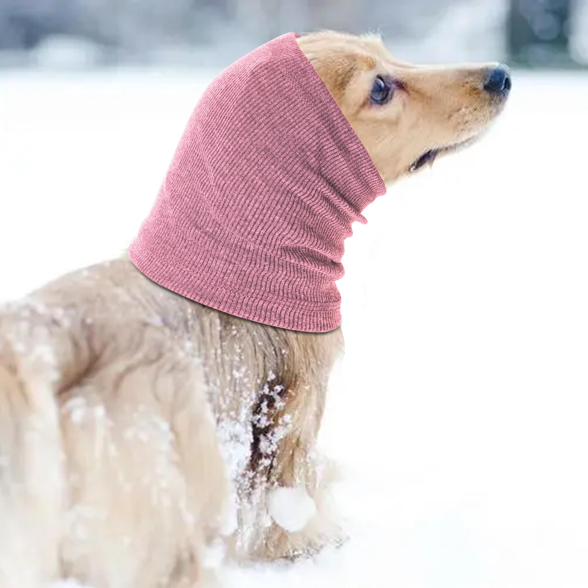 Rbenxia accessoire hivernal pour chien, parfait lors des promenades froides ou voyages.