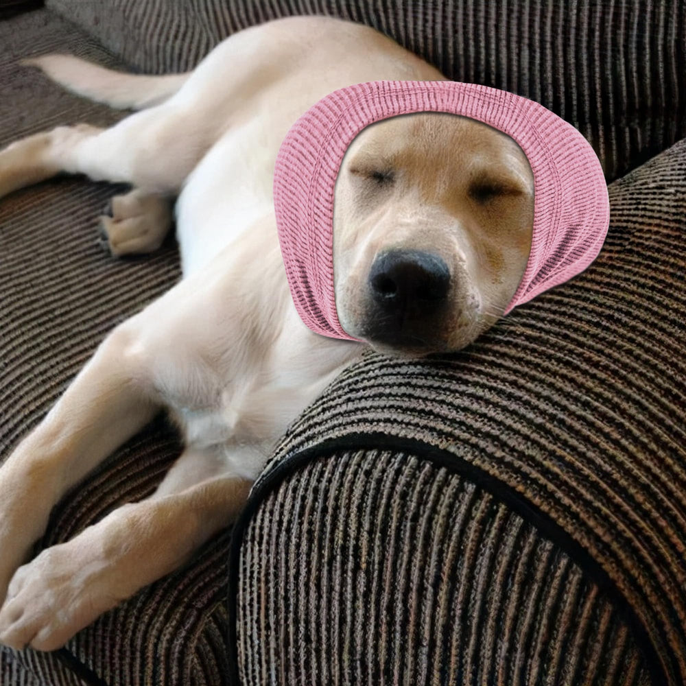 Rbenxia ensemble capuche et bandeau pour chien, chaleur et tranquillité assurées.