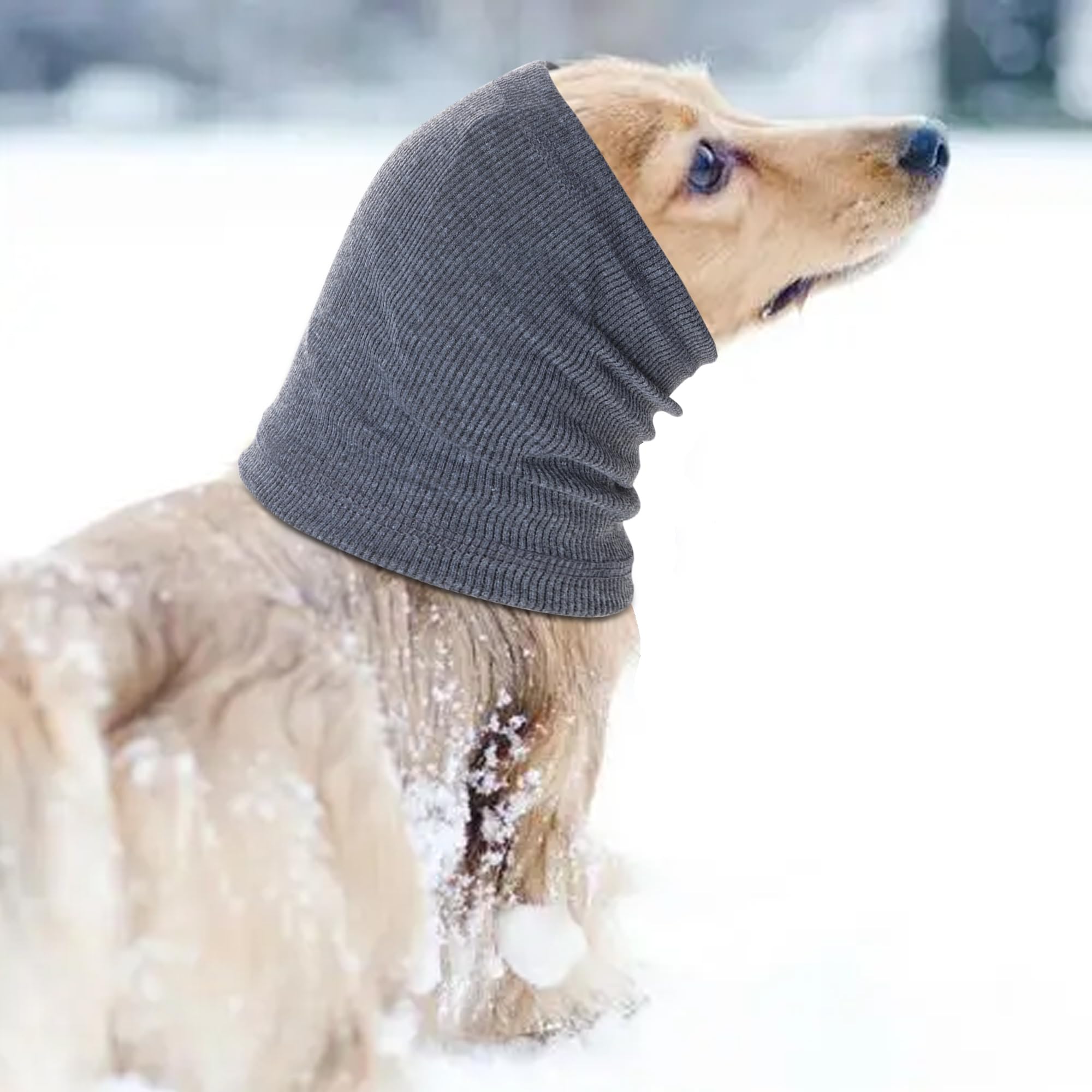 Ensemble hiver Rbenxia pour chien, couvre-oreilles et confort.