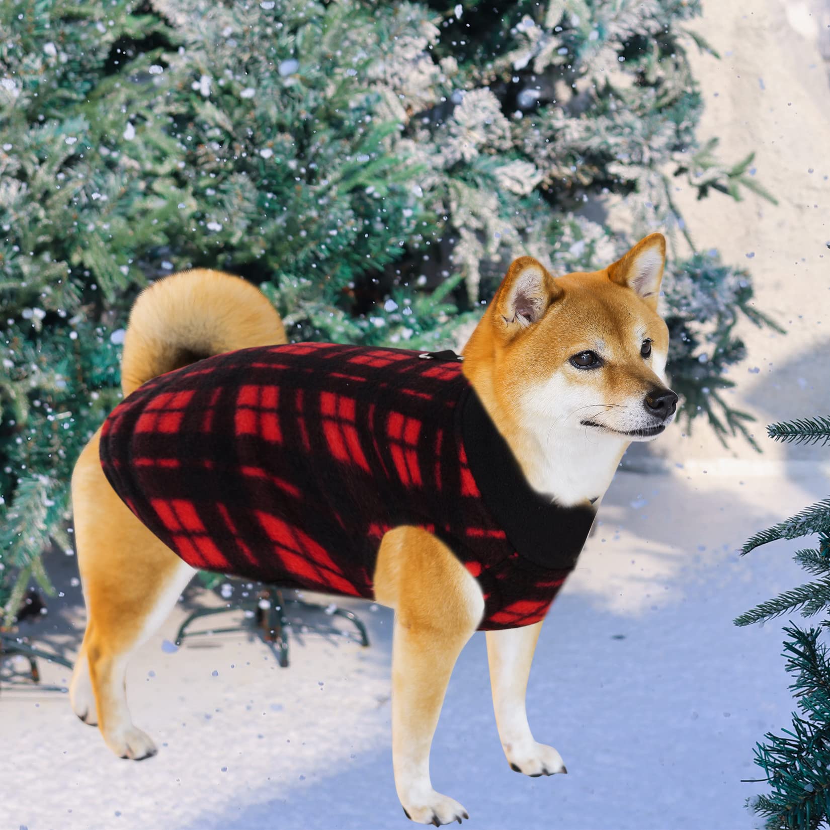 Rbenxia ensemble vetements animaux hiver, durable et facile d’entretien.