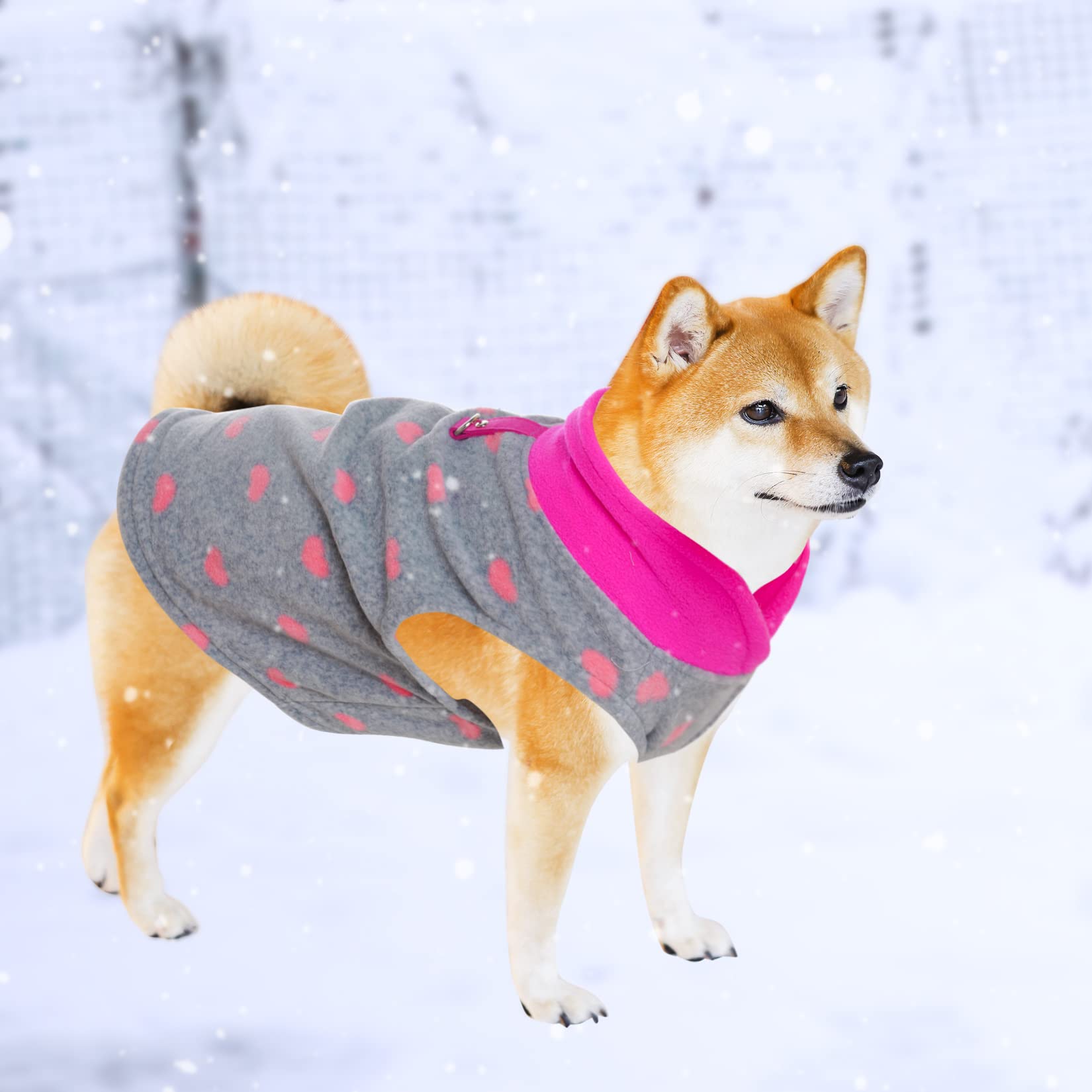 Gilet polaire doux pour petits chiens, usage quotidien