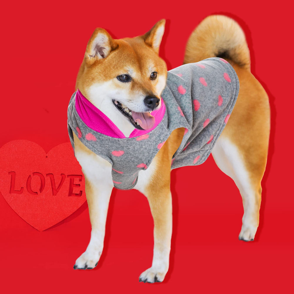 Veste hivernale pour petits animaux, chaleur et confort
