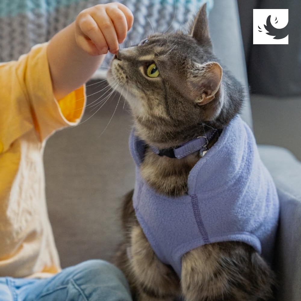 RC Pet Baseline Fleece – lavage en machine pour un entretien simple.