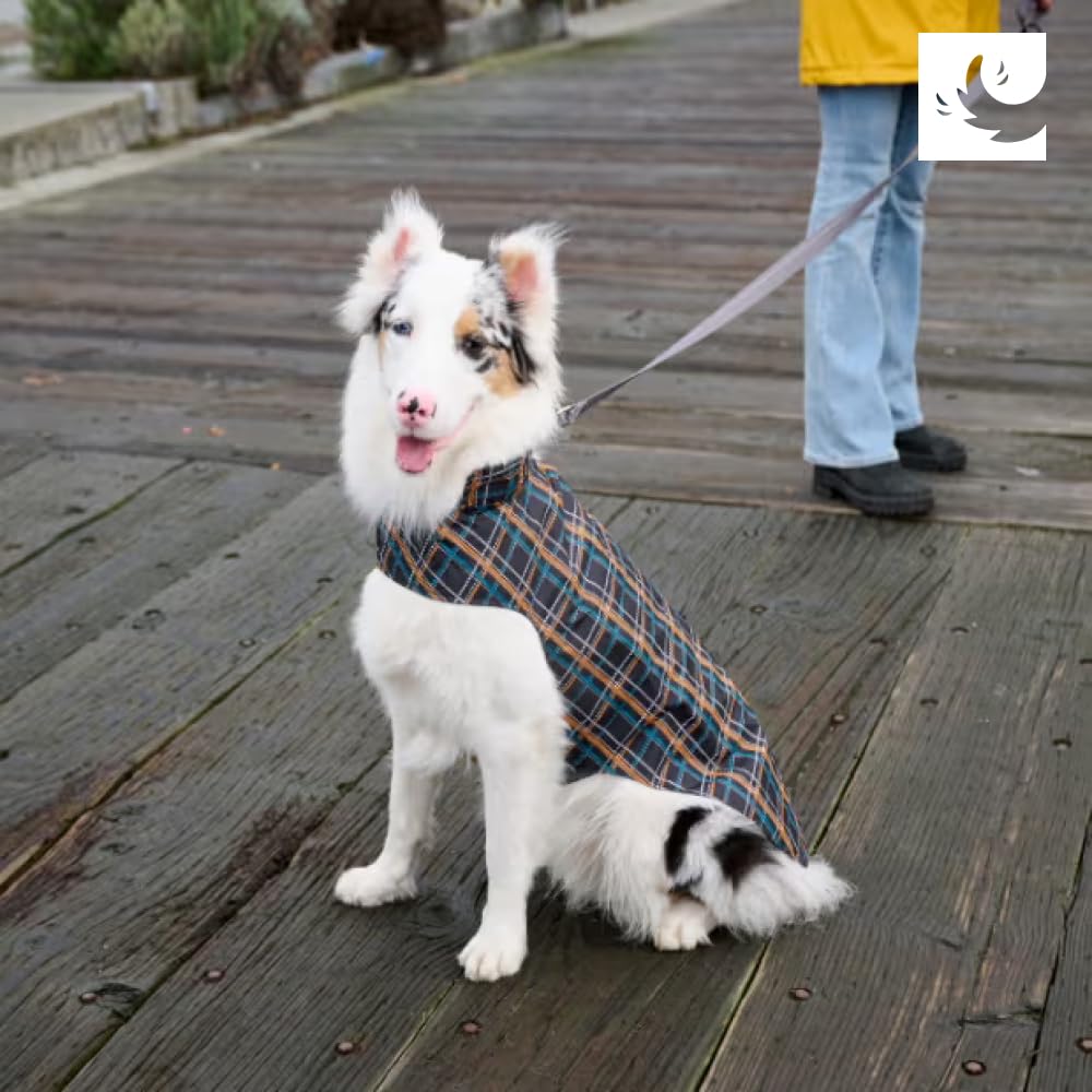 RC Pet Products Delta Rain Slicker, lavage en machine simple, entretien sans effort.