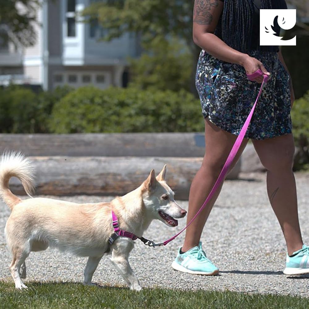 Conception adaptée chiens de grande taille, disponible en XL RC Pets Pace.