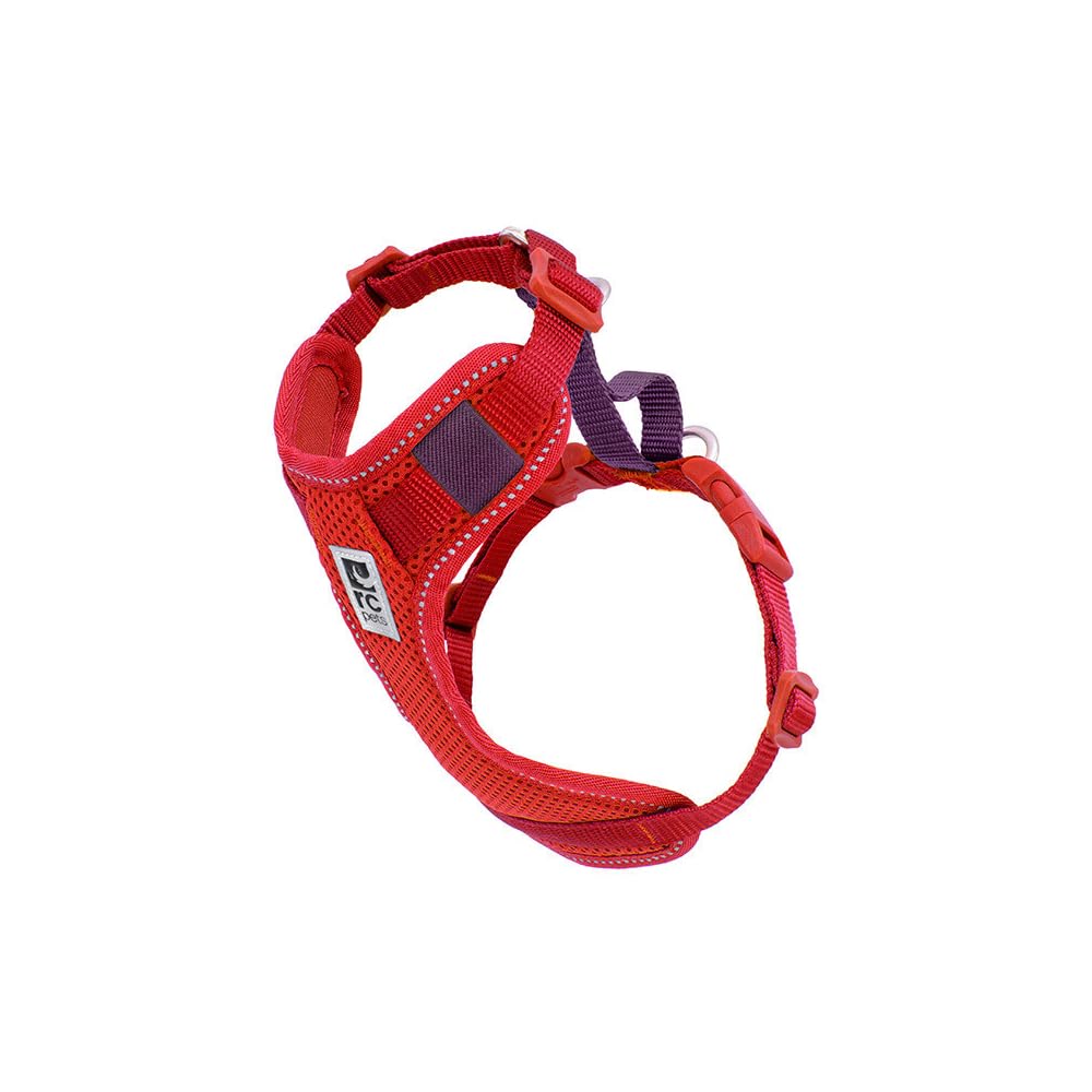 RC Pet Products Moto Control harnais assure sécurité en voiture et voyage serein.