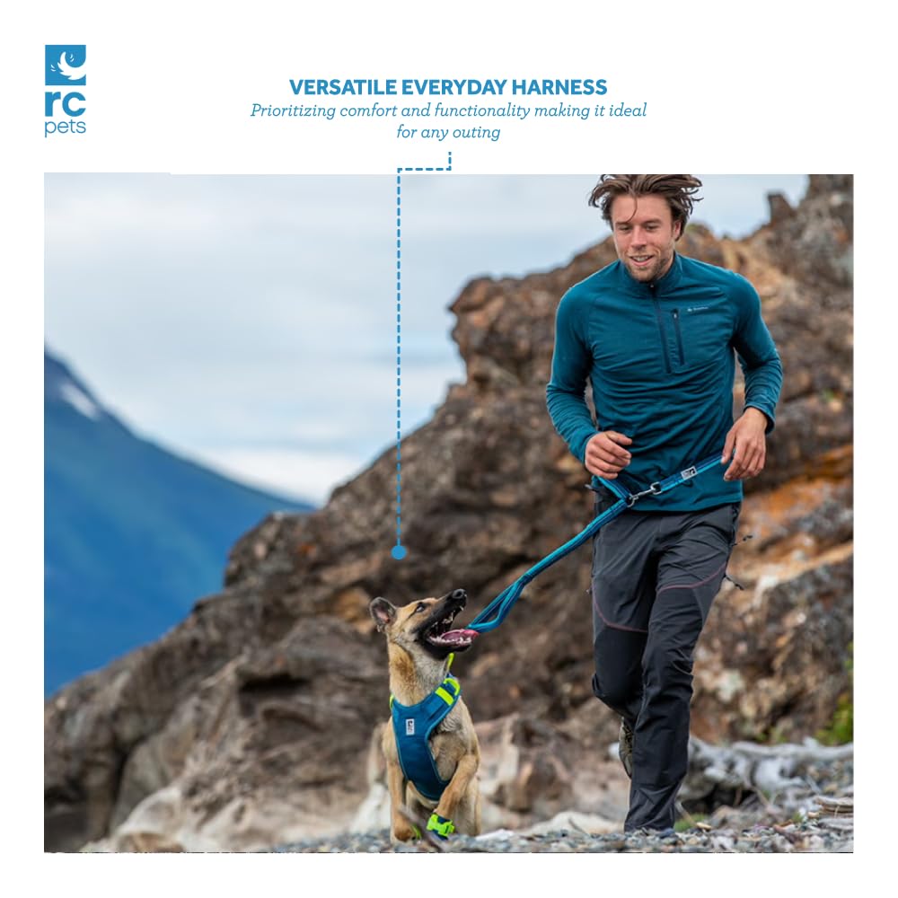 Conçu pour chiens et chats, Moto Control facilite promenades et trajets.