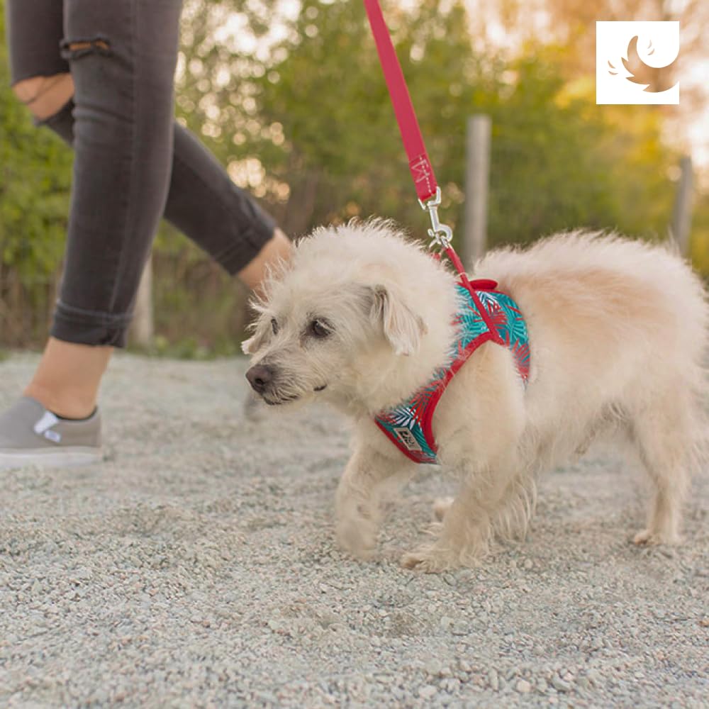 RC Pets Harnais Cirque XL Pourpre-murier – idéal pour les chiens qui n'aiment pas passer par la tête.