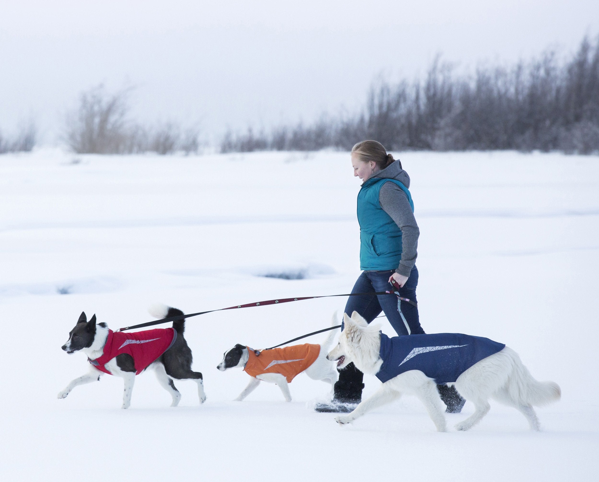 RC Pet Products Veste Cascade – réflectivité 3M pour visibilité nocturne.