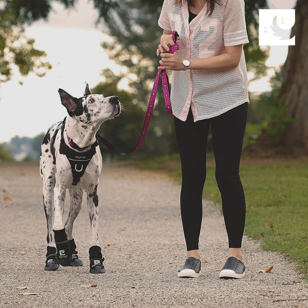 RC Pet Strider: logo réfléchissant augmente la visibilité lors des promenades nocturnes.