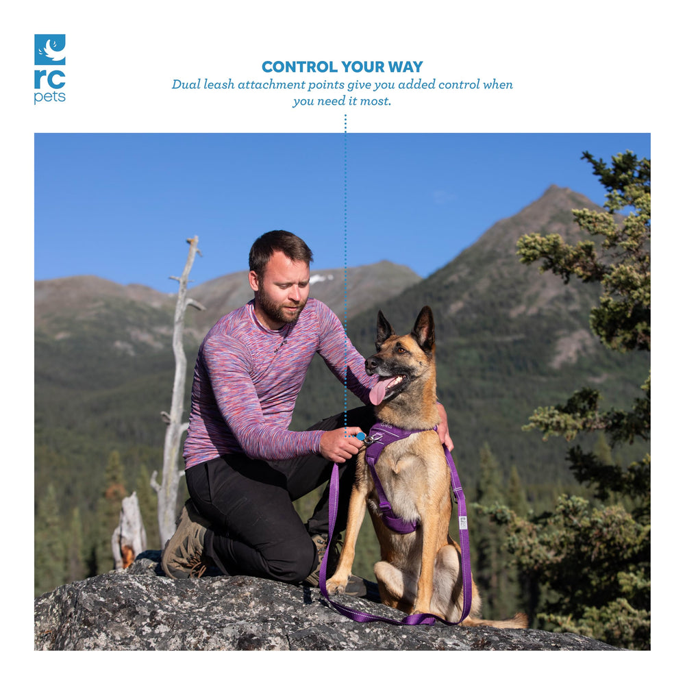 Maillage aéré RC Pets Momentum offrant ventilation et confort durant l effort.
