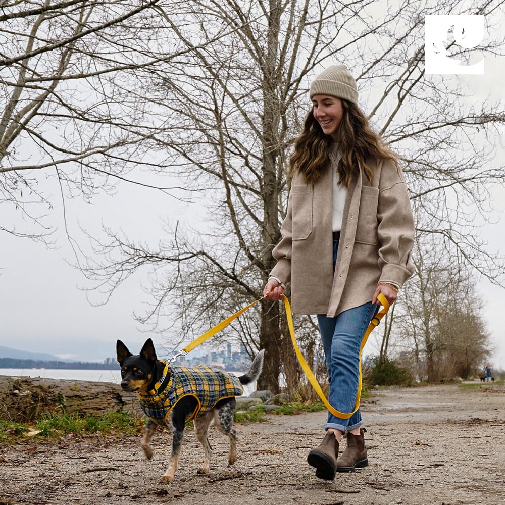 RC Pets Tundra confort quotidien, idéale pour promenades et activités hivernales.