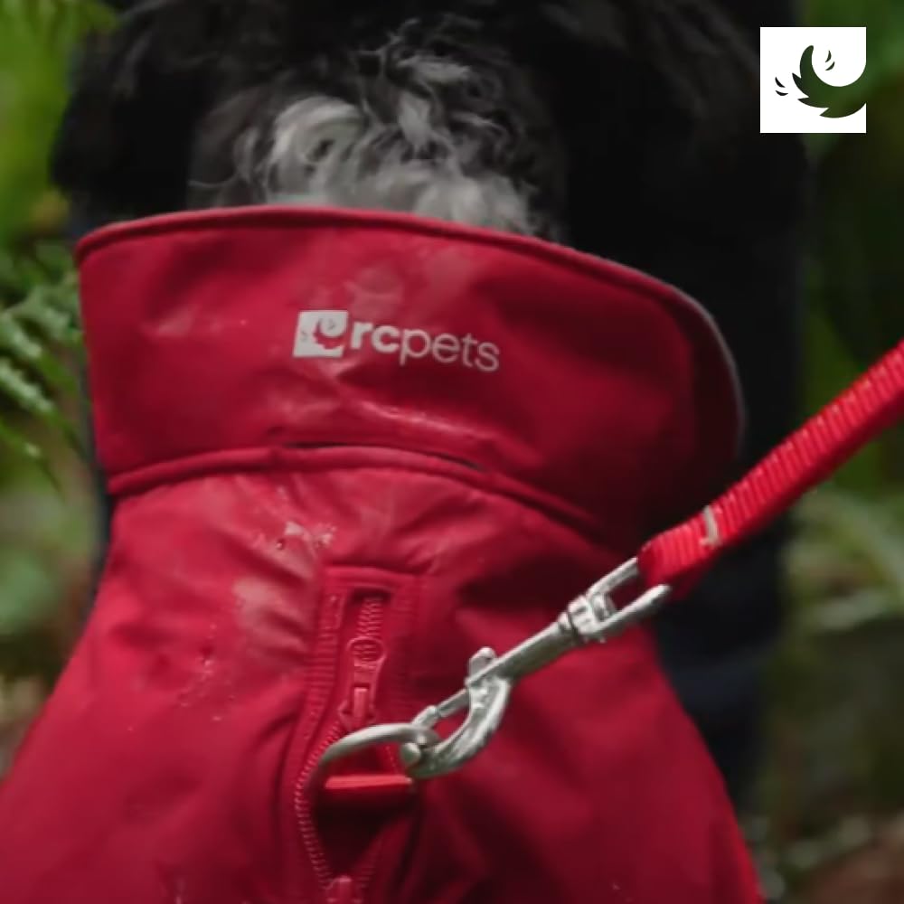 Coupe et taille RC Pets Circuit 18 pouces pour chien moyen à grand