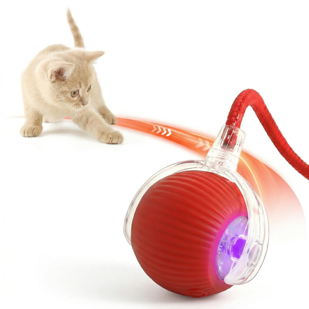 Rcxnm balle interactive pour chat rouge avec corde, stimule l'instinct de chasse en intérieur.