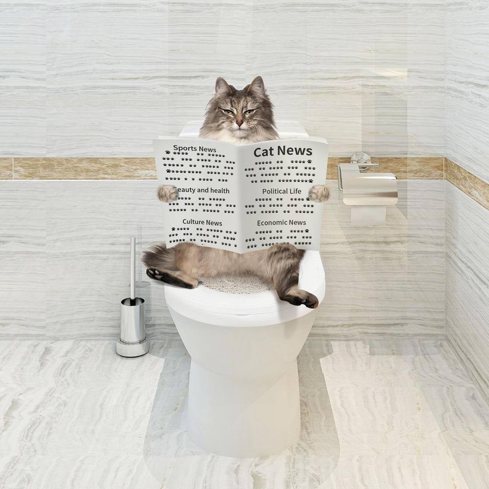 READAEER experience-utilisateur-transition: passage au quotidien plus serein