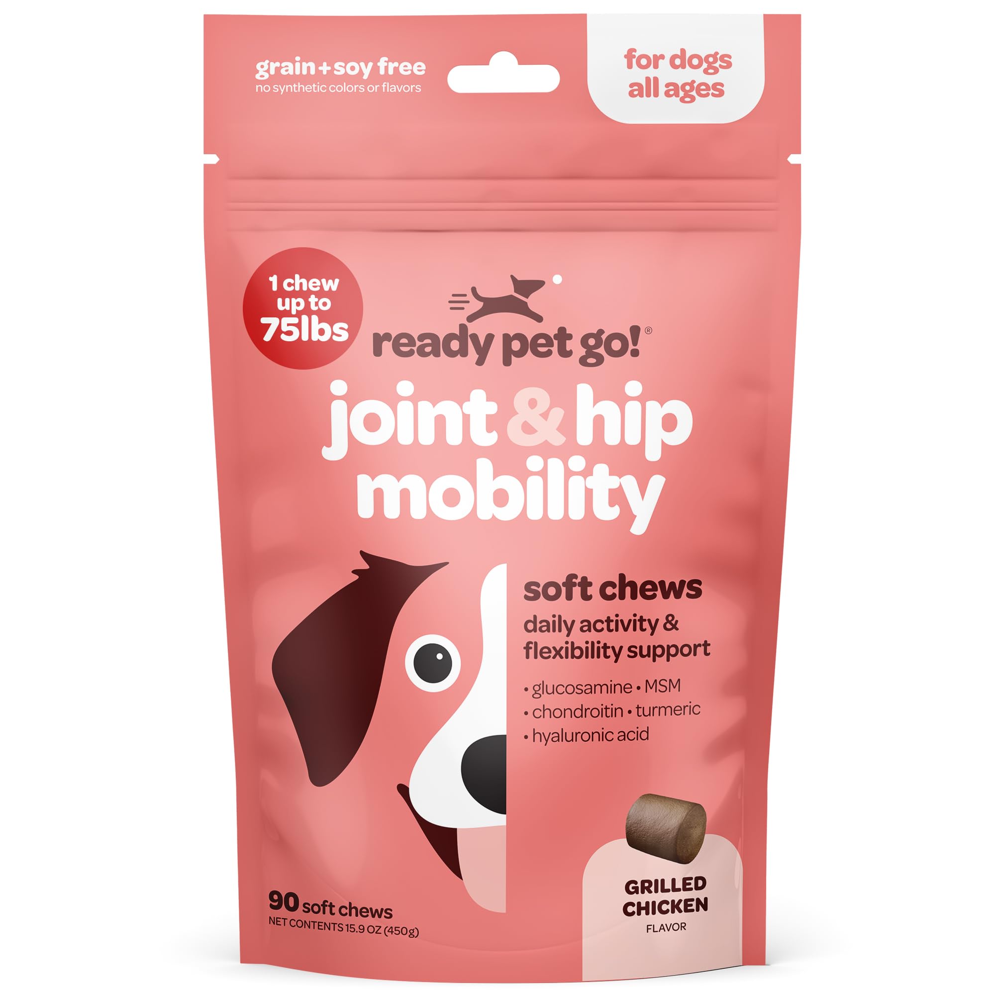 Ready Pet Go! boîte de 90 gommes, solution pratique