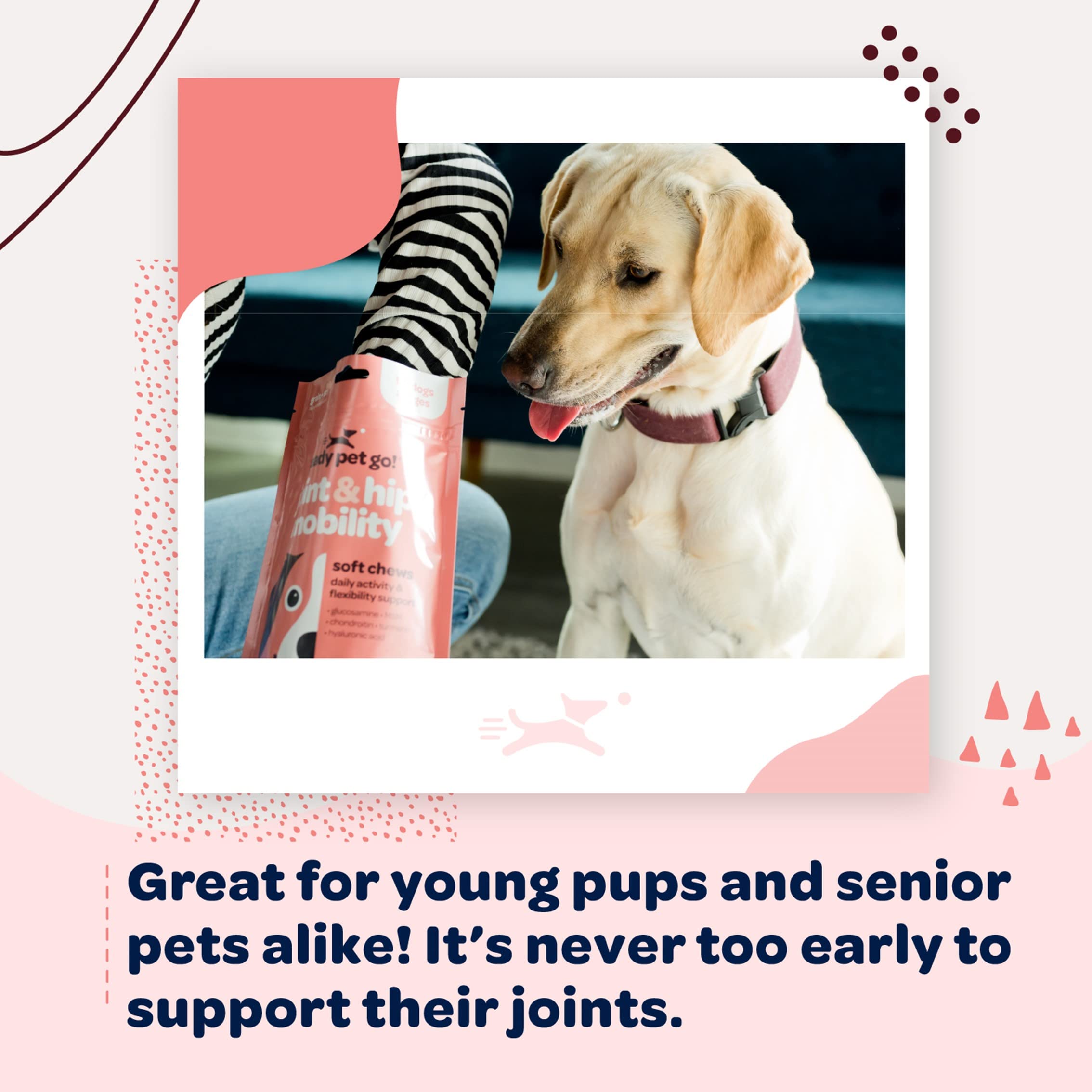 Ready Pet Go! produit certifié NASC pour sécurité et traçabilité.