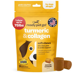 Ready Pet Go! curcuma chien, friandises molles dans la bouteille favorisant la mobilité.
