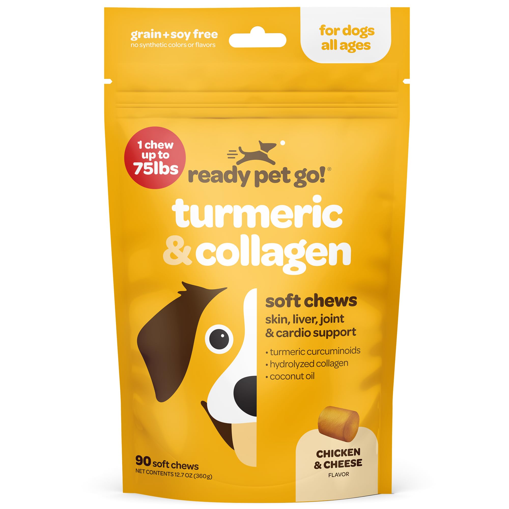 Ready Pet Go! curcuma chien conseils d'utilisation simples pour soutenir l'activité quotidienne.