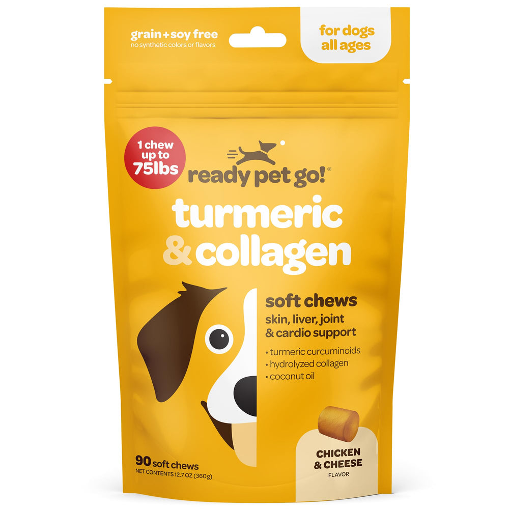 Ready Pet Go! curcuma chien conseils d'utilisation simples pour soutenir l'activité quotidienne.