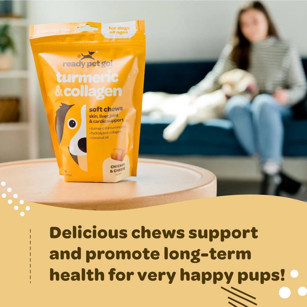 Ready Pet Go! curcuma chien ingrédients visibles, texture agréable et parfum neutre.