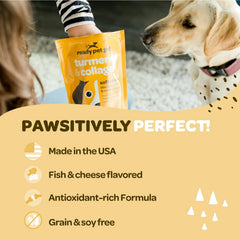 Ready Pet Go! curcuma chien emballage clair et pratique pour une dose facile.