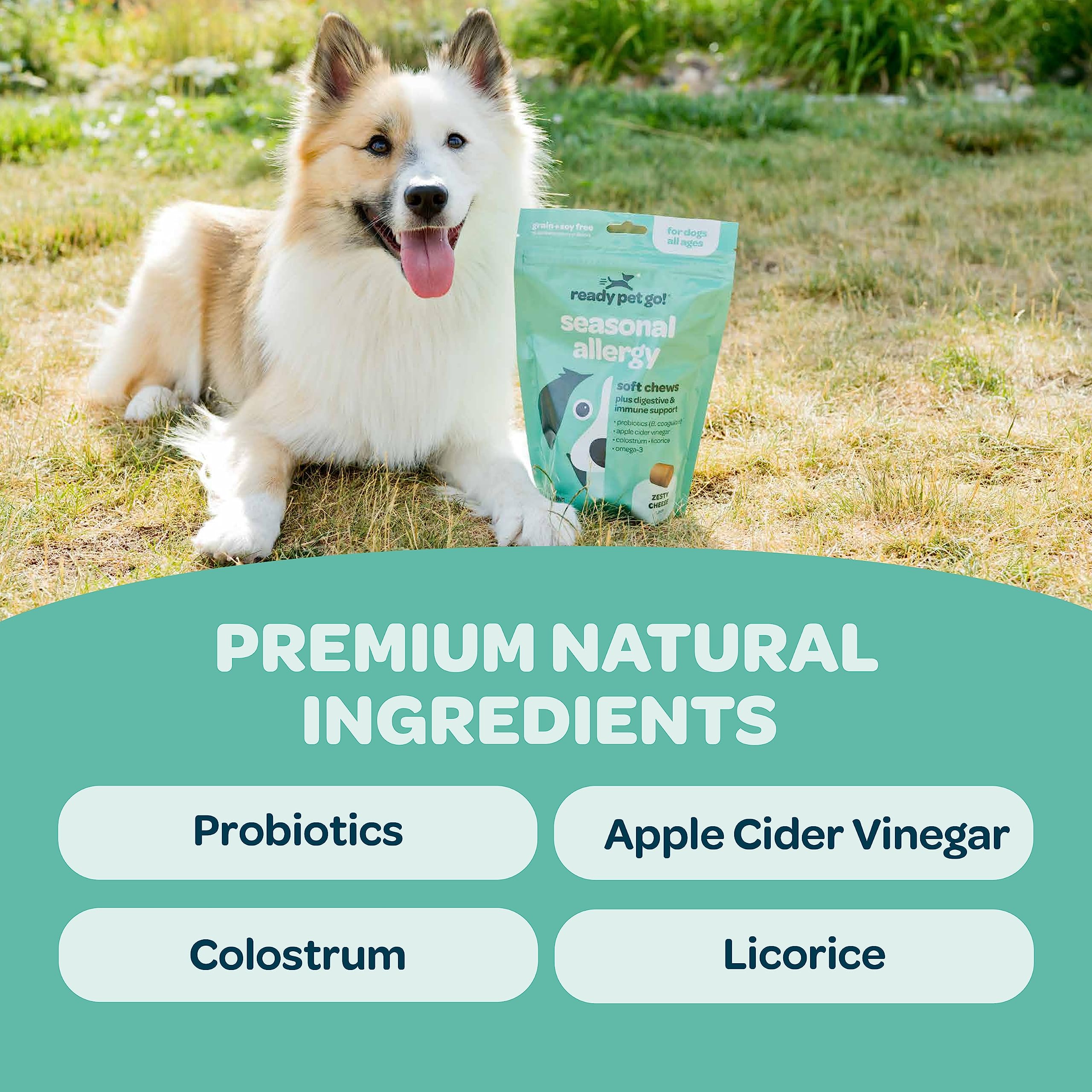 Ready Pet Go! Huile saumon Alaska, apport riche en acides gras pour la vitalité.