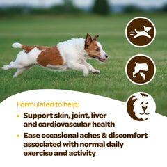 Ready Pet Go soutien immunitaire peau foie chien, ingrédients premium