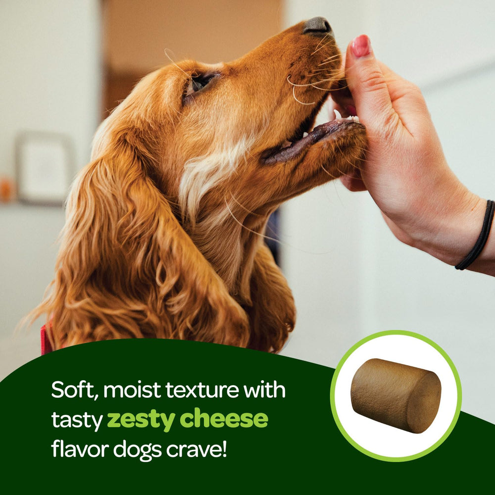 Ready Pet Go texture croquante, le chien adore cette friandise probiotique.