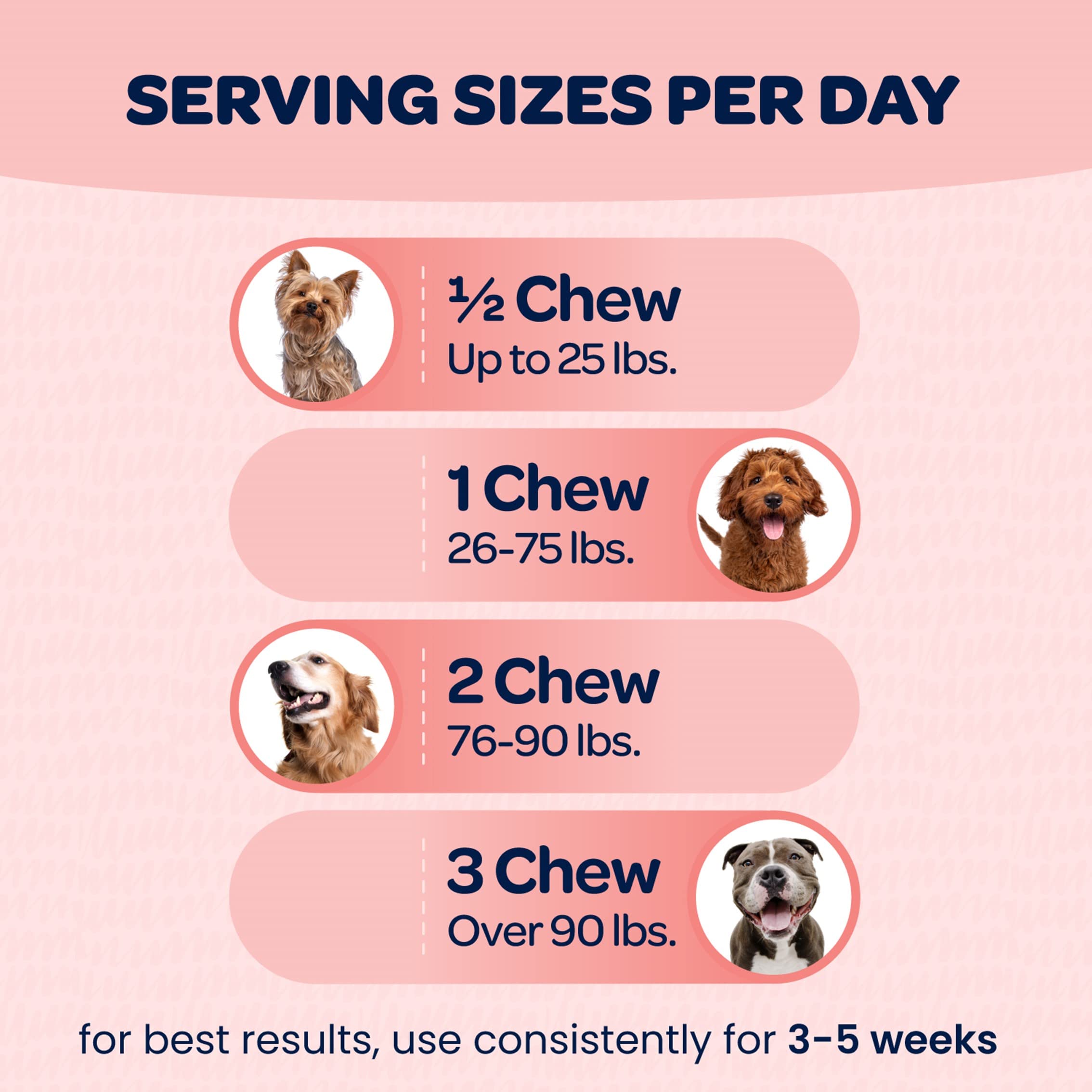 Ready Pet Go! utilisation quotidienne, dose recommandée.