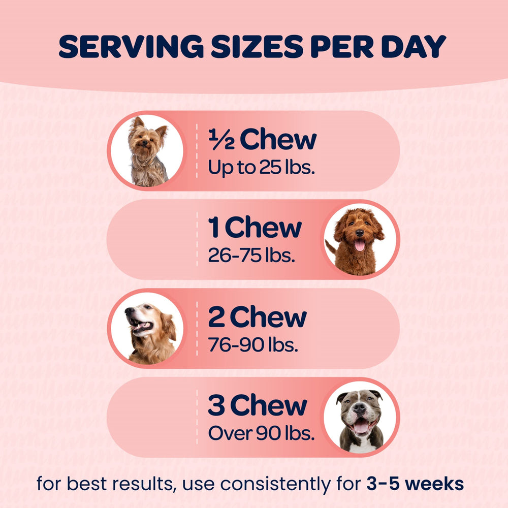 Ready Pet Go! utilisation quotidienne, dose recommandée.