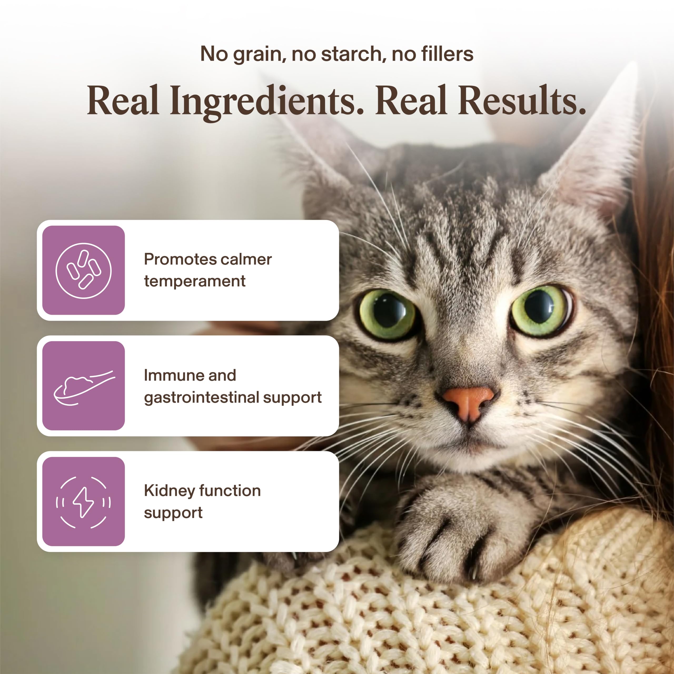 Real Mushrooms: beta-glucanes vérifiés pour cohérence et qualité fiables.