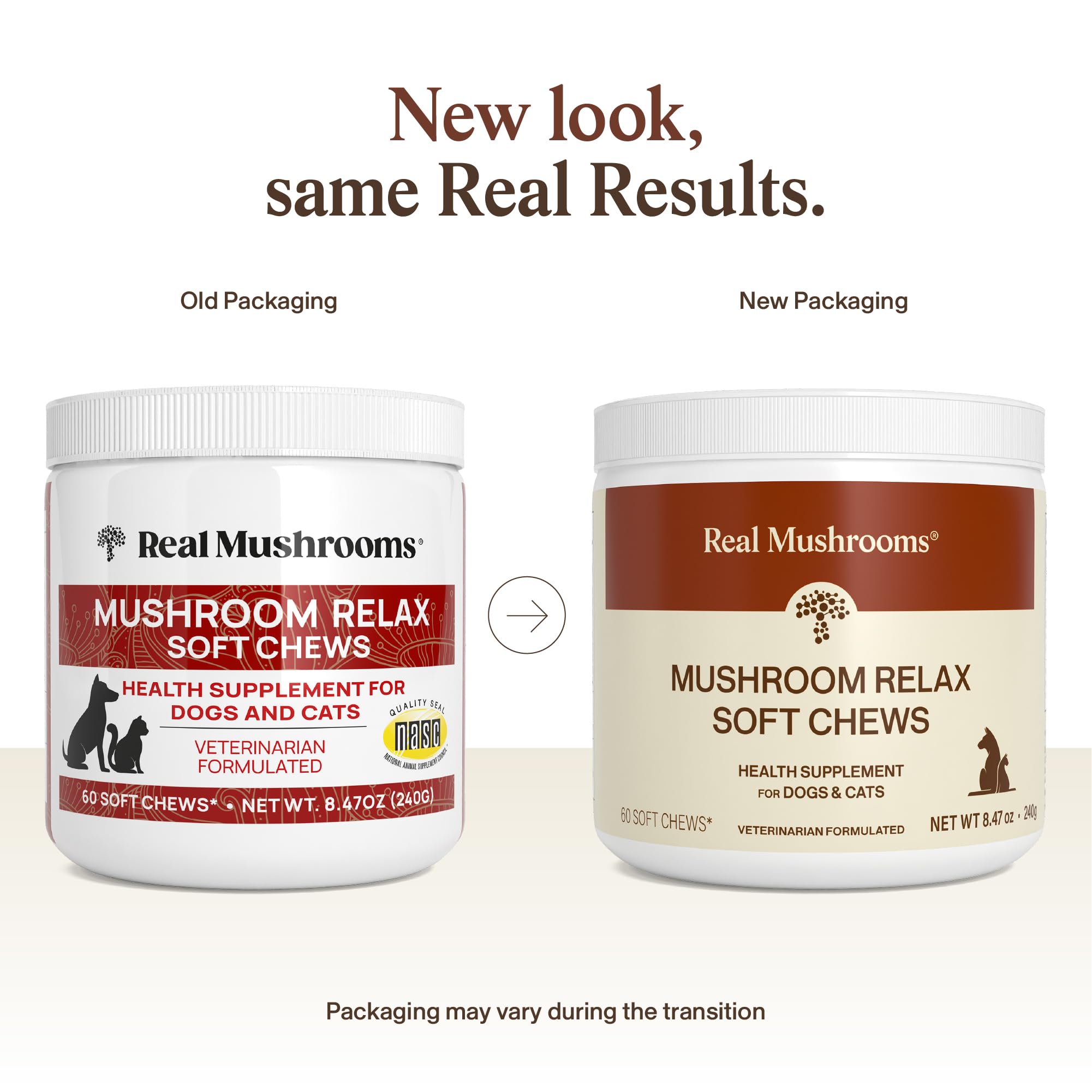 Texture moelleuse des friandises Real Mushrooms Calming Chews.