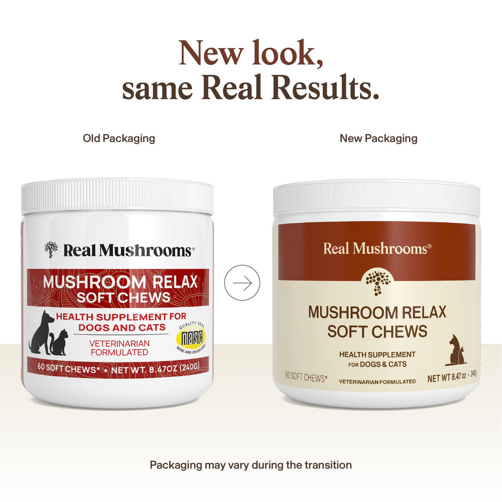 Texture moelleuse des friandises Real Mushrooms Calming Chews.