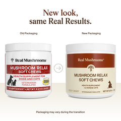 Texture moelleuse des friandises Real Mushrooms Calming Chews.