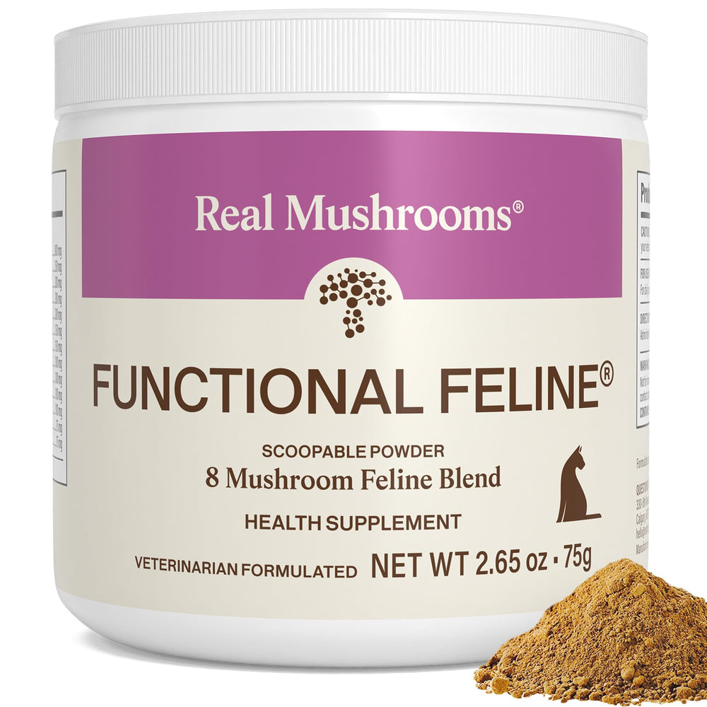 Real Mushrooms: poudre supplément chat avec krill et ashwaganda pour le quotidien.